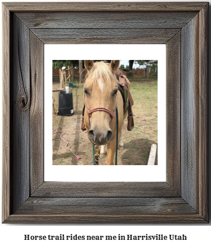 horse trail rides near me in Harrisville, Utah